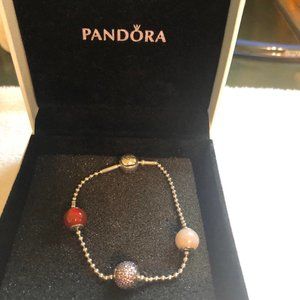 Pandora Bracelet and Spacer charms